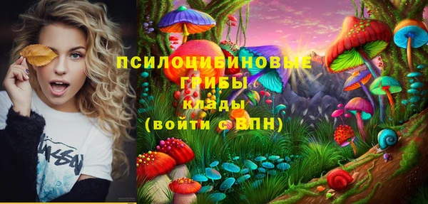 стаф Алексин