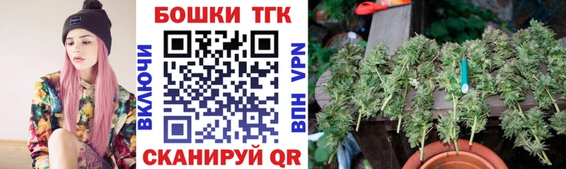 Бошки Шишки ГИДРОПОН  Заринск 
